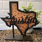 Texas Stand with Austin Skyline/Bats